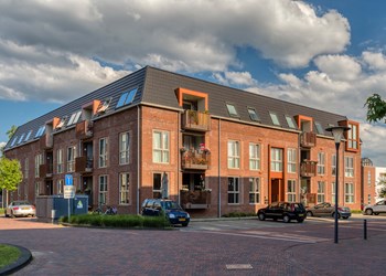 Dsc06452h